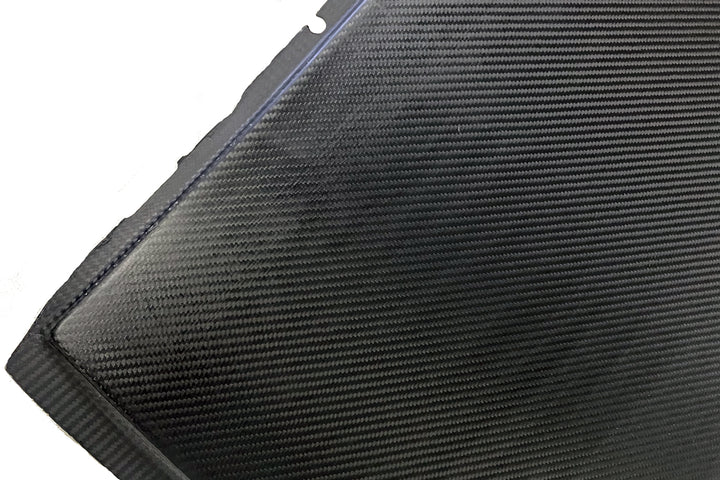 LAPTORR Dry Carbon Roof for E46 M3
